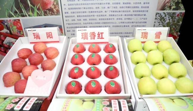 陕西果企业组团进武汉 开拓华中水果消费市场