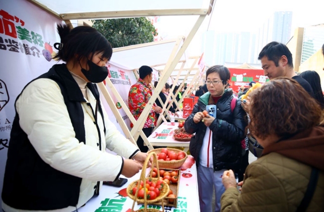 “泾阳西红柿”专场品鉴推介会在西安举办