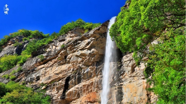 当端午“遇见”高考 来青峰峡畅享鲜氧小长假