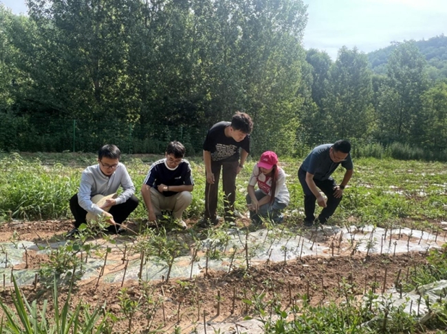 陕西科技大学大学生实践团在铜川乡村沾“泥土气”