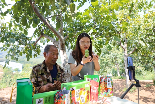 宜君：推动核桃产业优化升级 提质强链谋突破