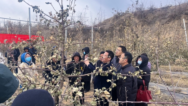 陕西佳县开展山地苹果高质量发春季管护提升培训会