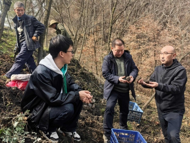 陕西白河：抢抓农时不负春