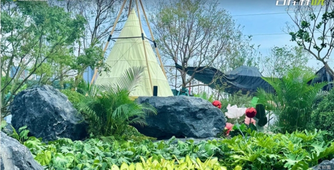 城北热盘丨白桦林晓森境唯美展示区惊艳首发，“主角光环”拉满！
