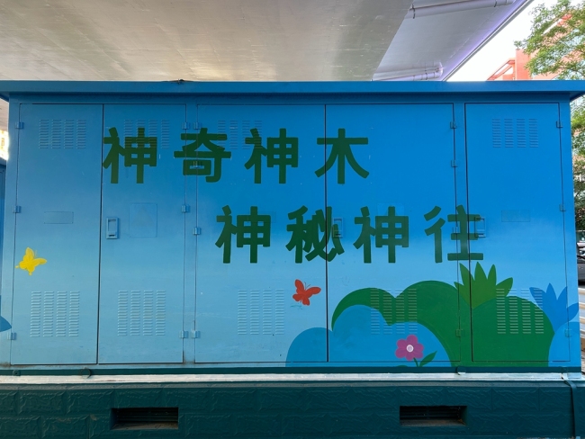 陕西神木：文化墙绘让城市形象与文明 “双向奔赴”