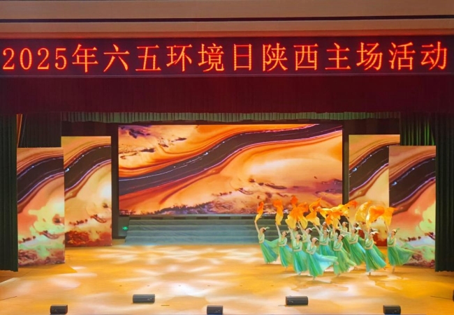 展演现场