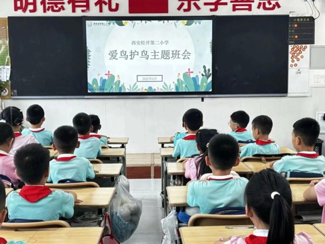 共筑生态家园，西安经开“爱鸟护鸟”主题教育活动进校园