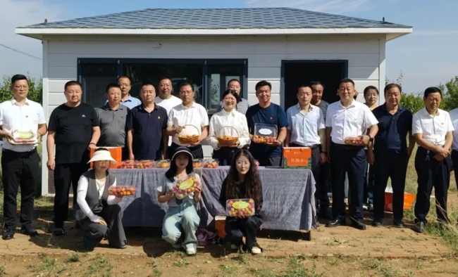 陕西靖边林业党员别样主题党日：变身“采摘员”，赋能乡村振兴