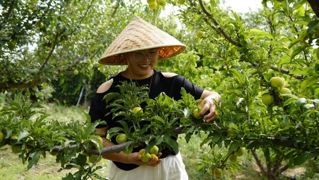 陕西靖边：丹霞边的“桃花源” 家门口的“诗和远方”