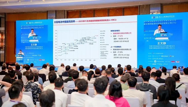 隆基八项成果入选中国最高效率两项目获评重大科技进展
