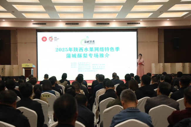 陕西水果网络特色季·蒲城酥梨专场推介活动举行 签订6500万元销售订单