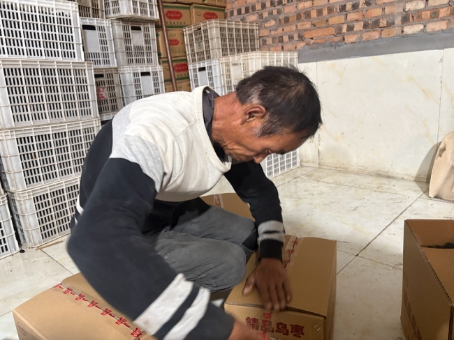 神木市万镇镇:紫晶枣“出海”东南亚 小红枣撑起村民致富伞