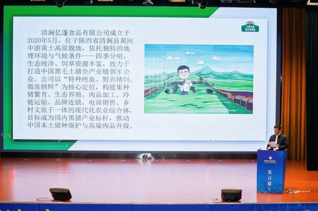 第四届中国地方猪资源保护与开发利用大会在陕西清涧开幕 共谋本土猪产业新未来