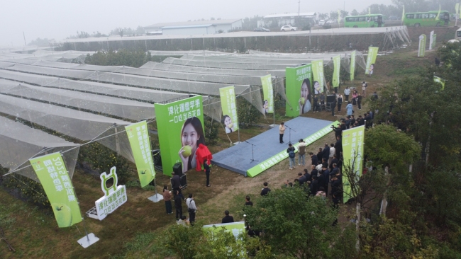 淳化瑞雪苹果试验示范站揭牌 着力打造全国瑞雪苹果示范基地