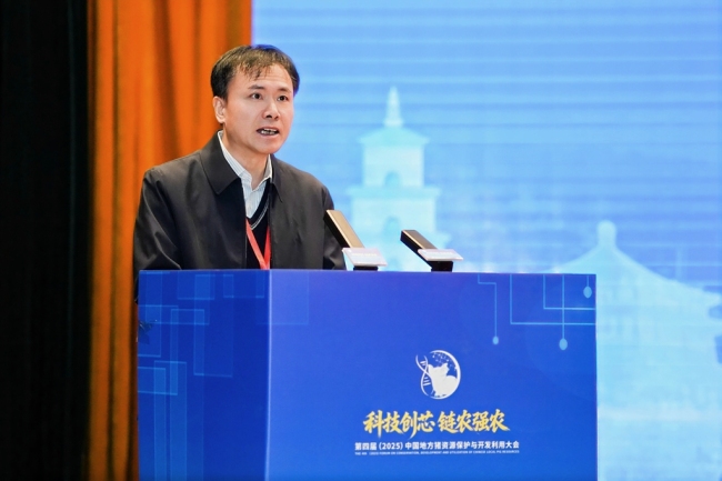 第四届中国地方猪资源保护与开发利用大会在陕西清涧开幕 共谋本土猪产业新未来