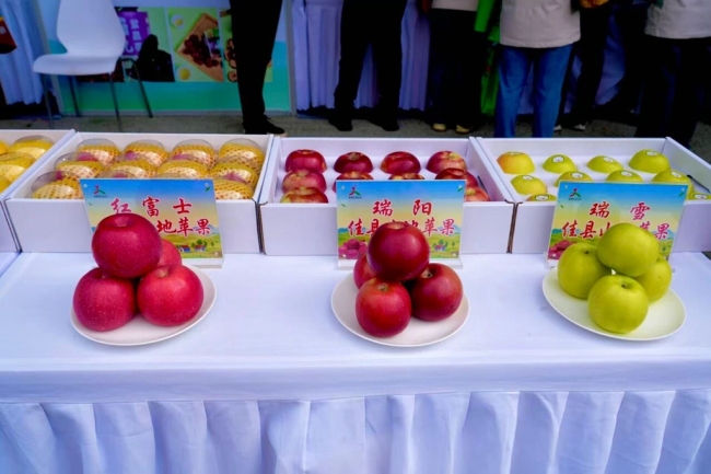 陕西佳县特色农产品精彩亮相第三十二届杨凌农高会