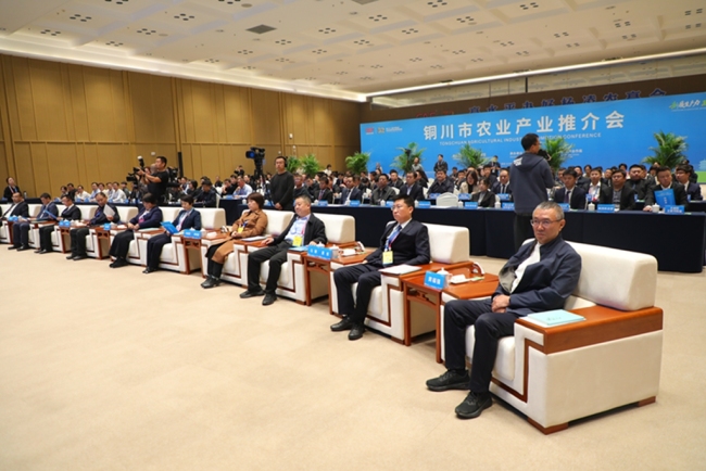 第32届农高会宜君县签约13个项目 涉及金额3.92亿元