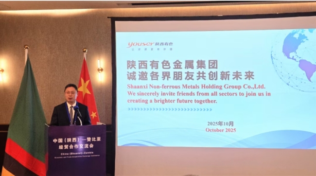 陕西有色金属集团随省经贸代表团出访埃塞俄比亚、赞比亚两国