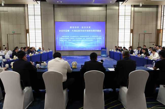 2025安康—大湾区数字经济协同发展对接会在深圳举行