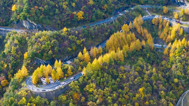 镇坪县：红叶映山 客满农家