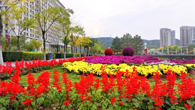 陕西神木滨河新区秋色如画 邂逅诗意生态美景