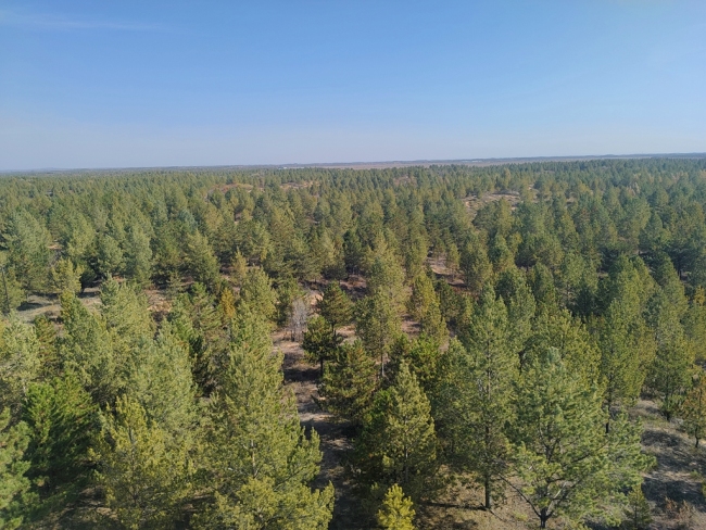 网络名人走进神木开展“绿水青山看神木”生态行活动