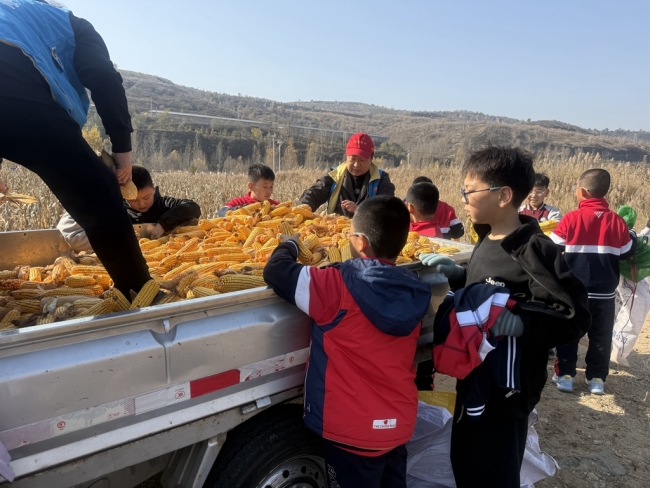 掰玉米、操控无人机——神木学子田间解锁“智慧农业”