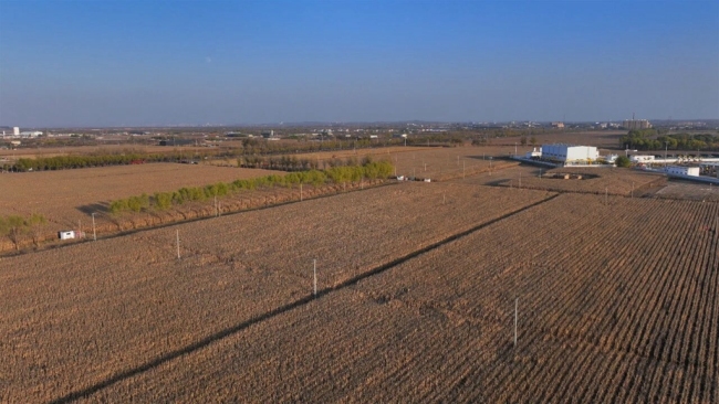 榆林市榆阳区玉米秋收全面推进 机械化助力丰产丰收