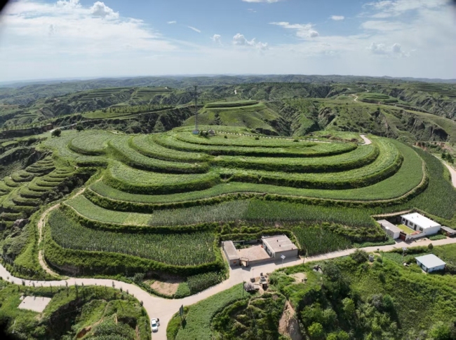 回眸“十四五” | 陕西府谷:水润“绿三角” 绿染“北大门”