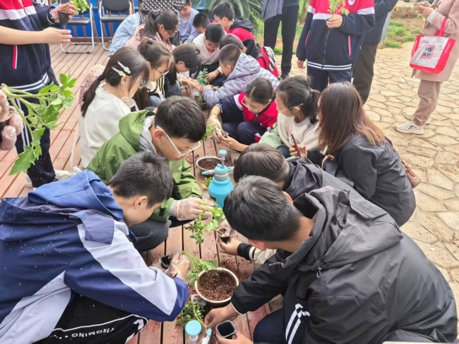 百名学子走进神木市现代农业示范园 体验沉浸式研学