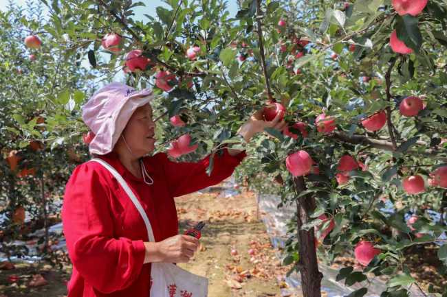 宜君：源头活水汇增收 城乡共走致富路