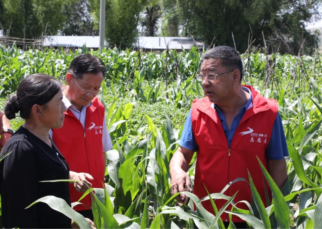 高成平实地指导