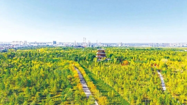 靖边五台森林公园