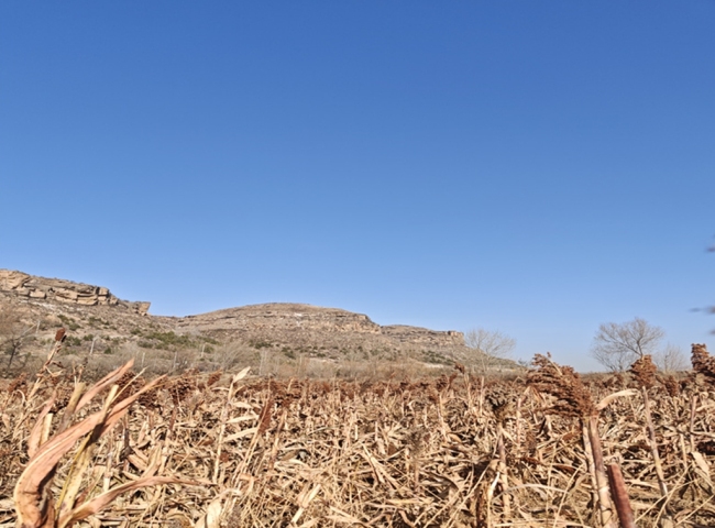 陕西神木:聚焦“好物” 打响品牌 促进民营经济高质量发展