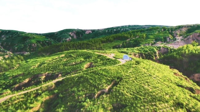 陕西府谷：“绿色”为底绘新景 “双效”共进促发展