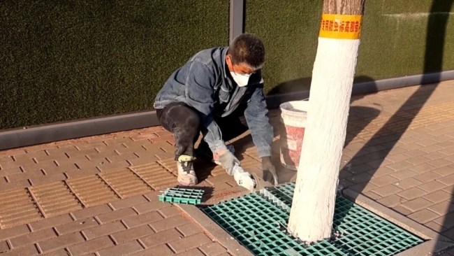 陕西府谷： 匠心打造树池“微景观” 赋能城市颜值再提升