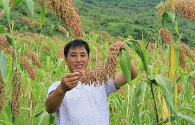 从绝壁凿路到心路生花——记横路村党支部书记冉从奎