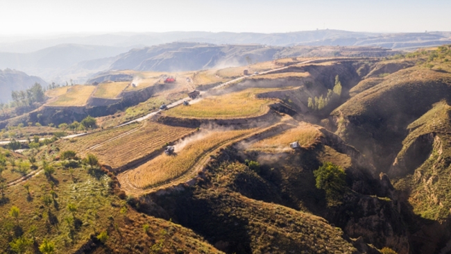 府谷县以水为笔,绘就生态与民生共兴图景——治水护安澜 兴水润民生