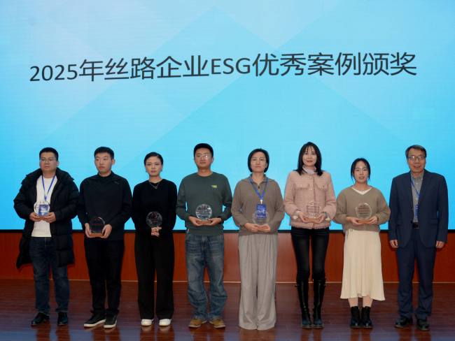 国网新疆昌吉供电公司荣获丝路企业ESG案例-新锐奖