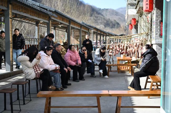 陕西朱家湾村让“天然氧吧”变致富宝地