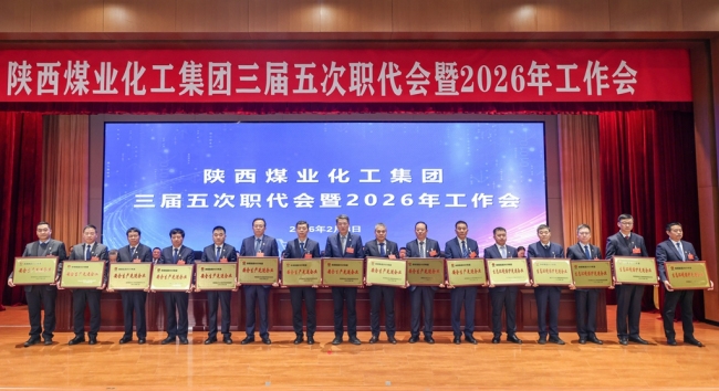 北元集团荣获“2025年度生态环境保护先进企业”