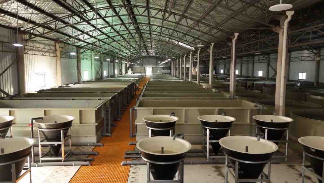 陕西汉阴：闲置资源“活”起来 百姓腰包“鼓”起来