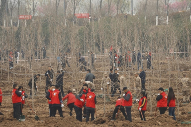 陕西眉县：“植”此青绿 共“树”生态