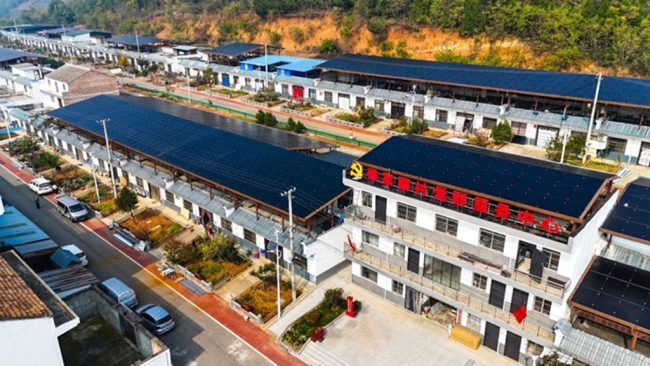 从建议到实践：隆基以“光伏+”探索乡村振兴新路径