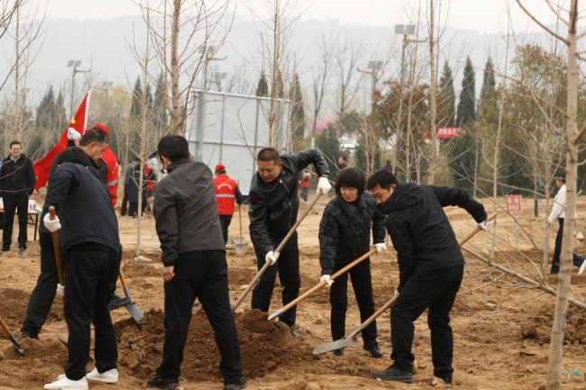 陕西眉县：“植”此青绿 共“树”生态