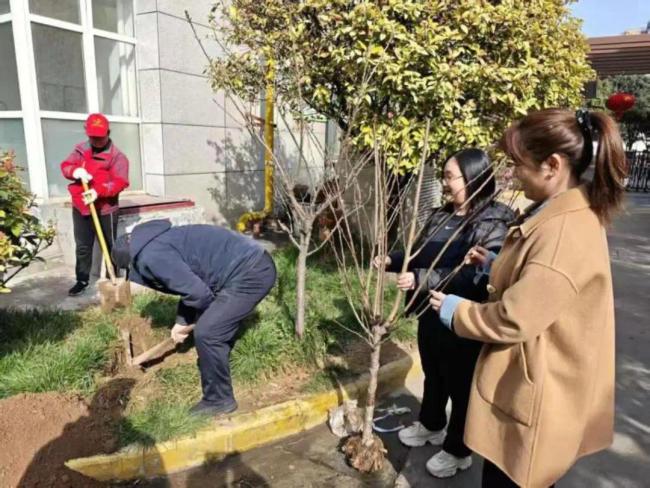 西安市碑林区：春风添新绿 植树正当时