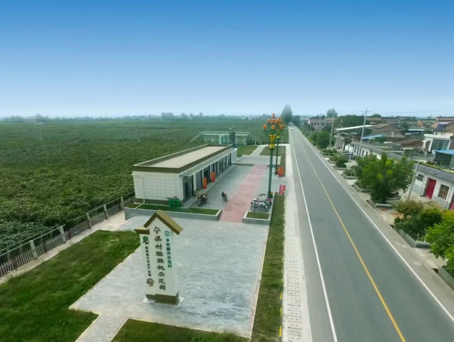 眉县金渠镇：绿色兴农 品牌强农