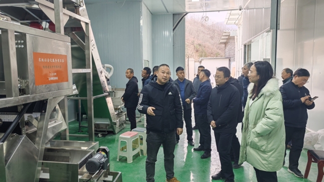 飞天逐梦凌云志 星耀秦岭润沃土——锚定常态化精准帮扶 谱写太白乡村振兴新篇