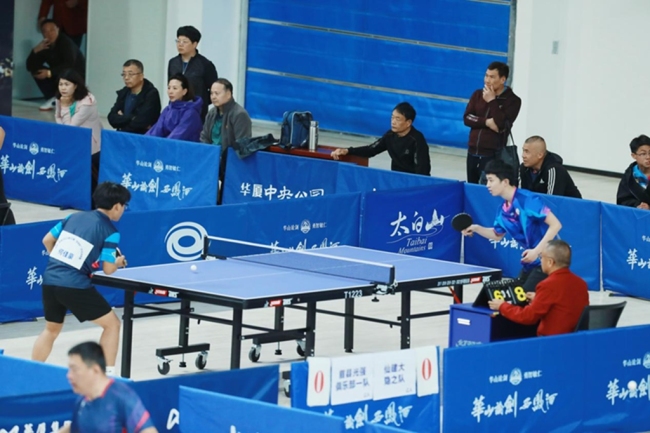 陕西眉县：百合绽放 “乒”搏正酣