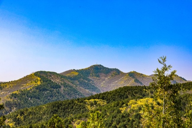 春日踏青春意浓 康养宜君引客来——宜君县春季文旅市场持续升温